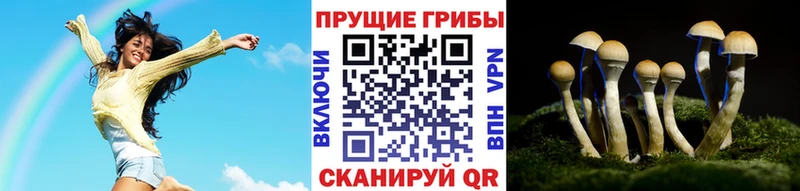 Галлюциногенные грибы Magic Shrooms  цены   Луза 